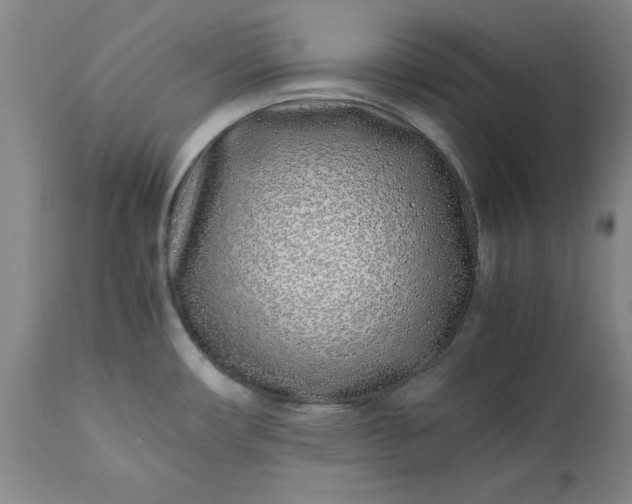 X0000113211482200909241411