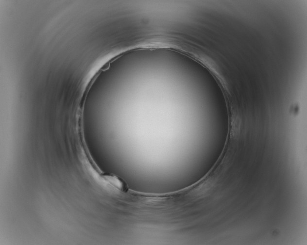 X0000113211484200909241411