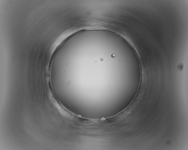 X0000113211485200909241411