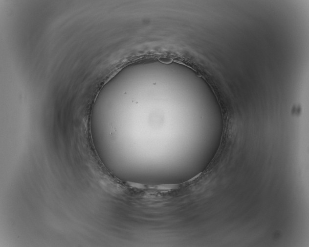 X0000113211489200909241410