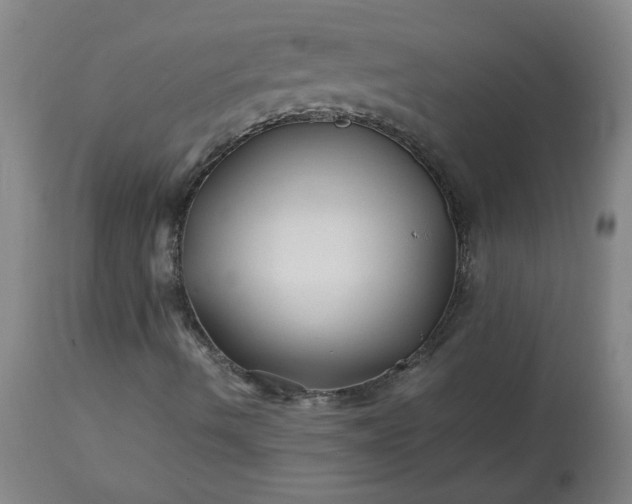 X0000113211490200909241410