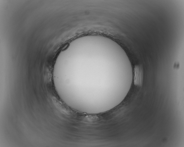 X0000113211491200909241410