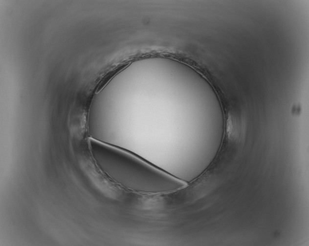 X0000113211492200909241410