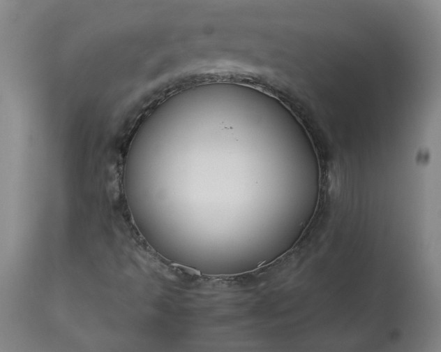 X0000113211493200909241410