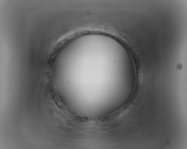 X0000113211494200909241410