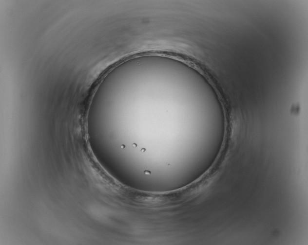 X0000113211497200909241410