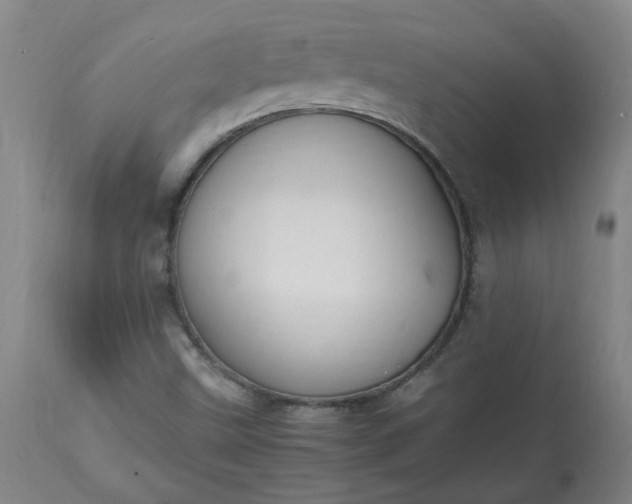 X0000113211499200909241410