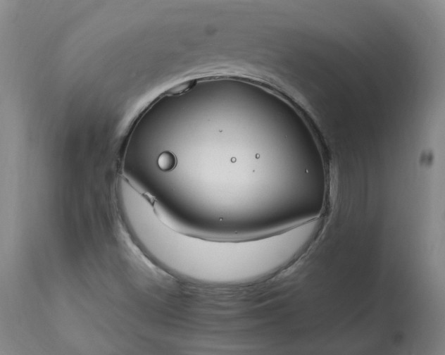 X0000113211500200909241410