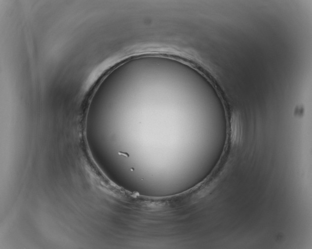 X0000113211501200909241410