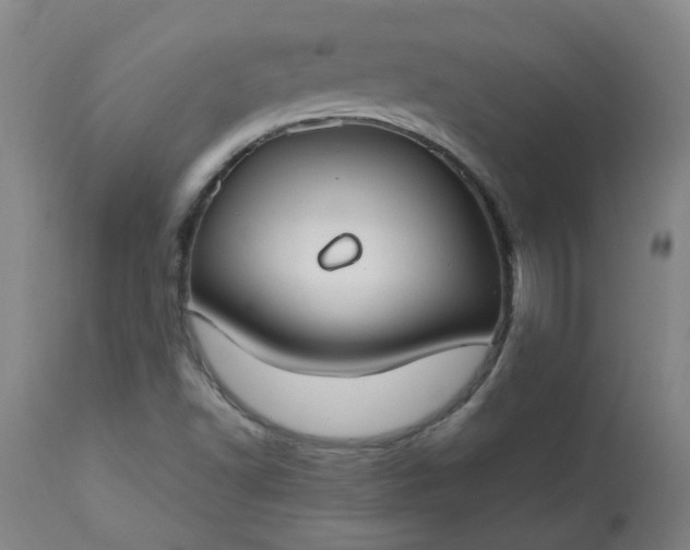 X0000113211502200909241410