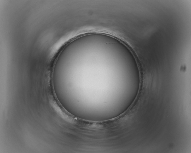 X0000113211503200909241410