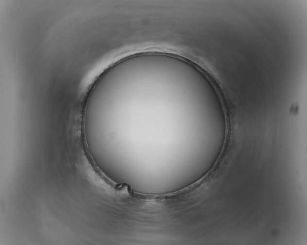 X0000113211504200909241410