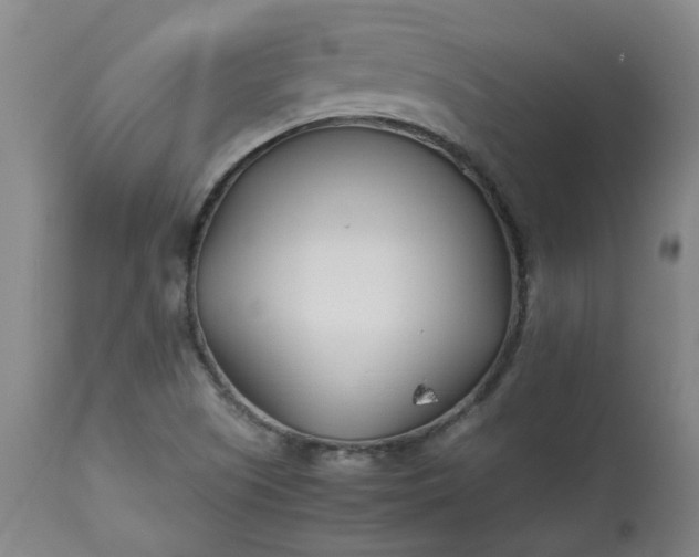 X0000113211505200909241410