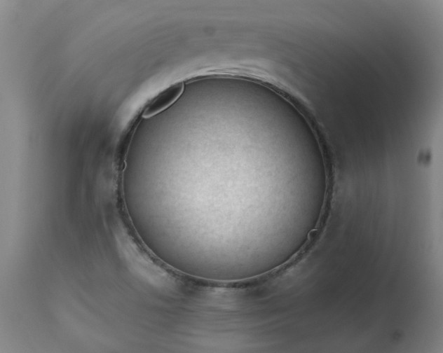 X0000113211506200909241410