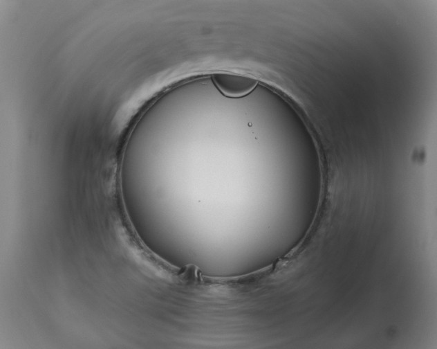 X0000113211507200909241410