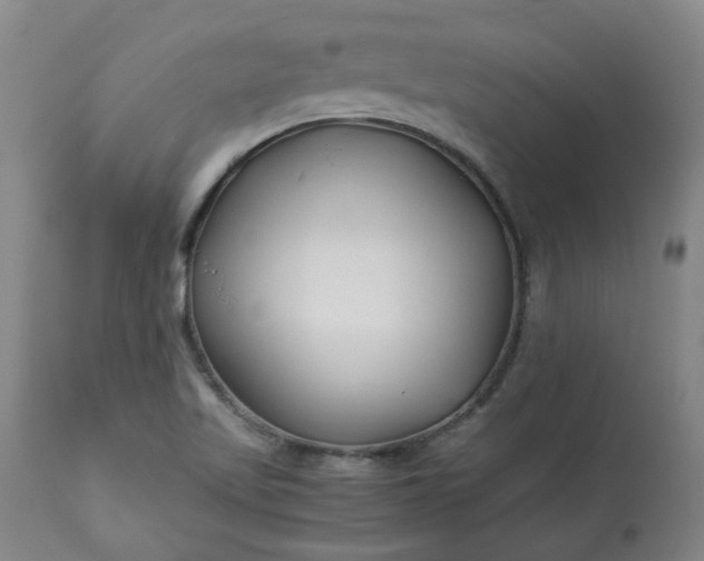 X0000113211509200909241410