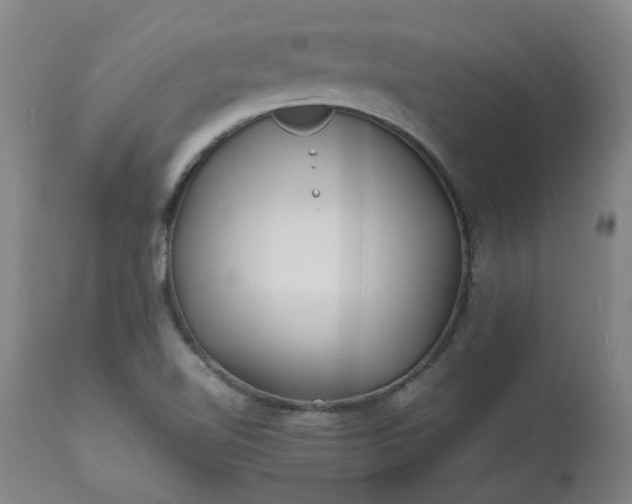 X0000113211510200909241410