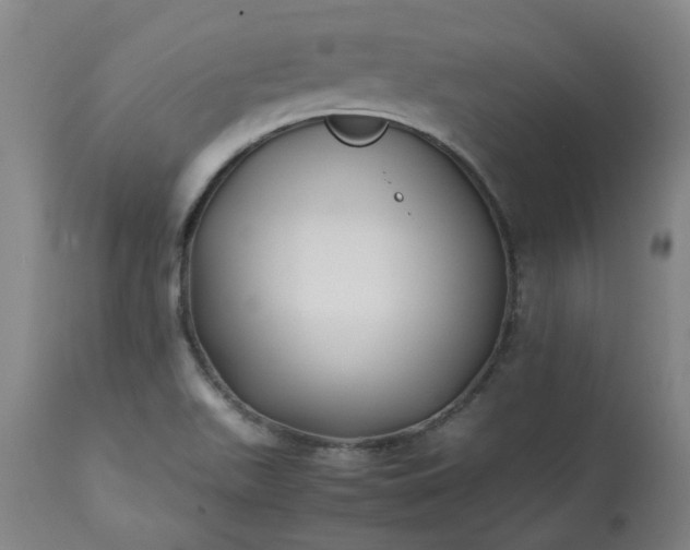 X0000113211511200909241410