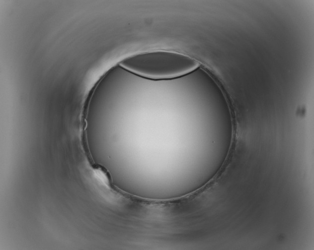 X0000113211512200909241410