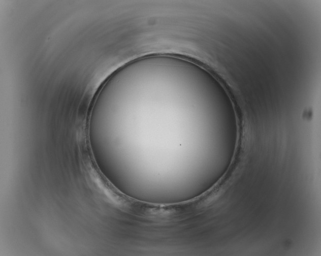 X0000113211513200909241411