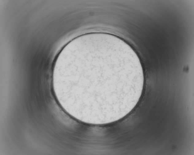 X0000113211514200909241411