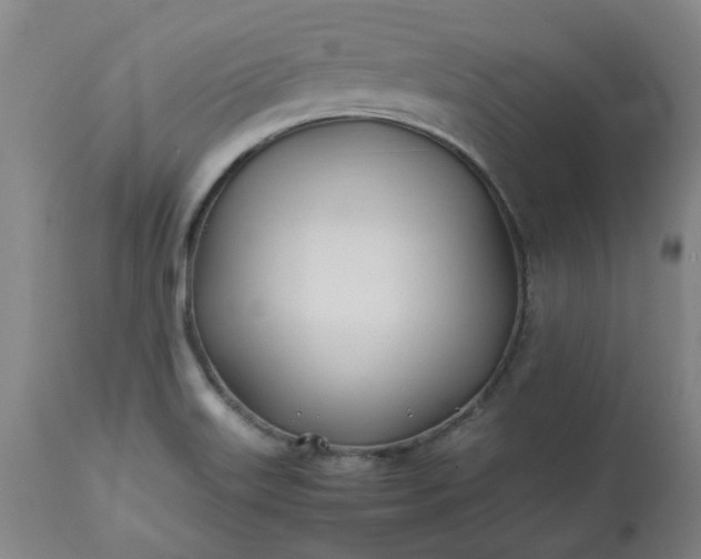 X0000113211515200909241411