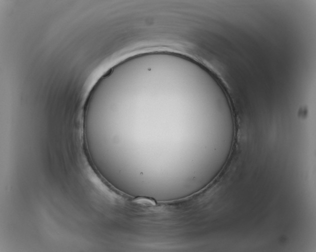 X0000113211516200909241411