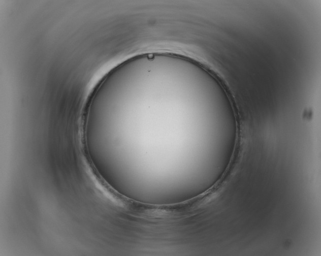 X0000113211517200909241411