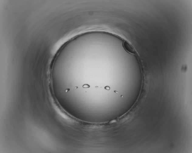 X0000113211519200909241411