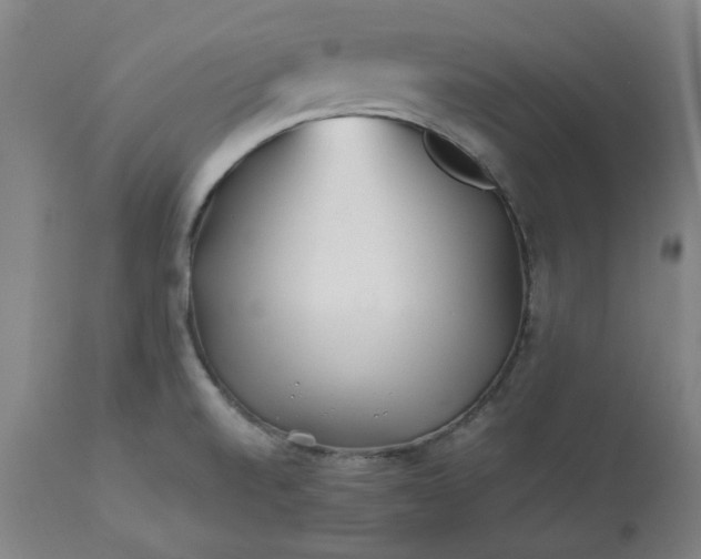 X0000113211520200909241411