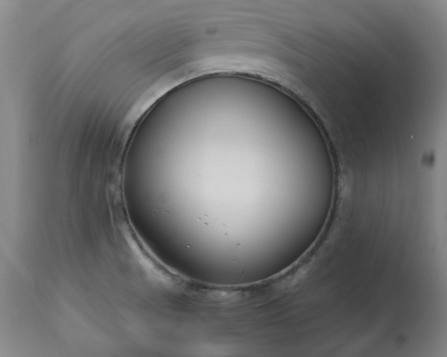 X0000113211521200909241411