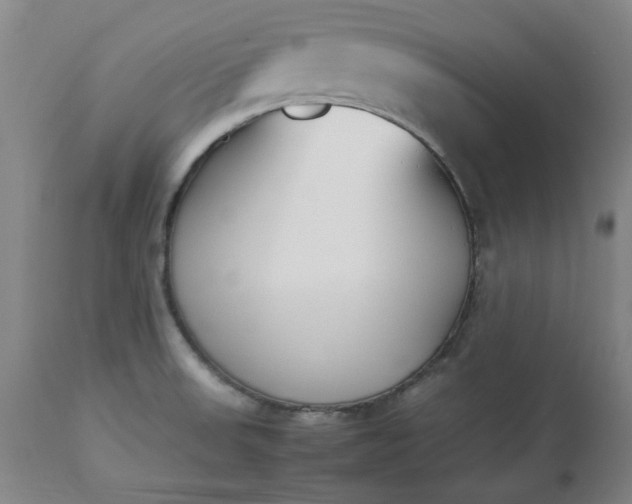 X0000113211523200909241411