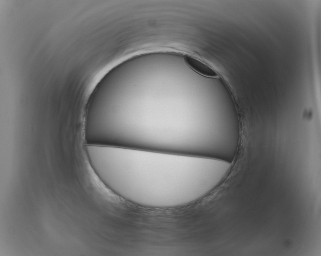 X0000113211524200909241411