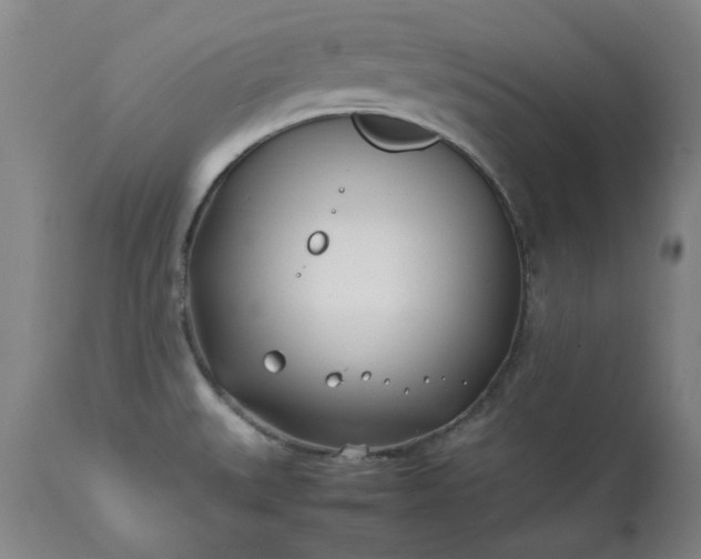 X0000113211527200909241411