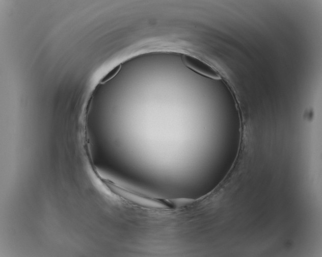 X0000113211528200909241411