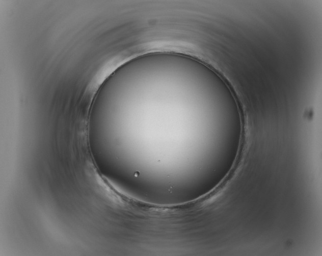 X0000113211529200909241411