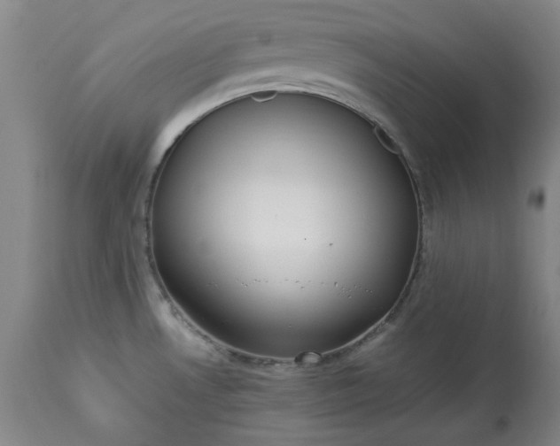 X0000113211530200909241411