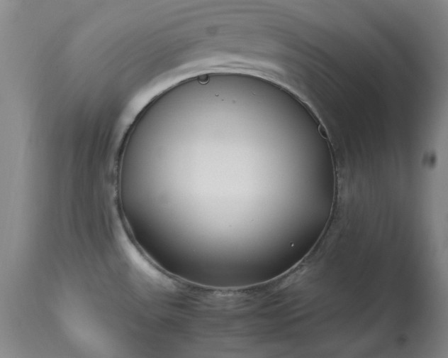 X0000113211531200909241411