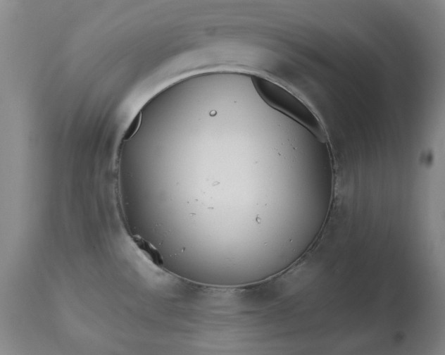 X0000113211532200909241411