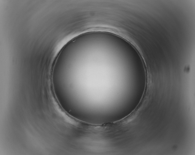 X0000113211533200909241411