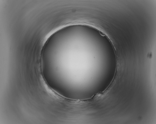 X0000113211534200909241411