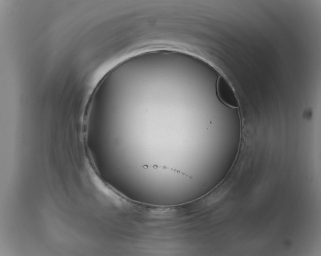 X0000113211535200909241411