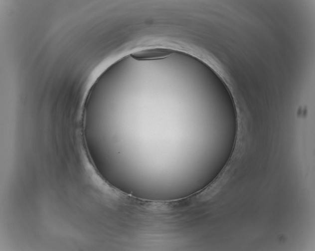 X0000113211536200909241411