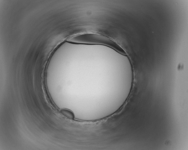 X0000113210001200910011332