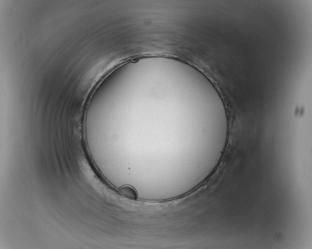 X0000113210002200910011331