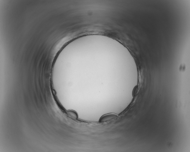 X0000113210003200910011331