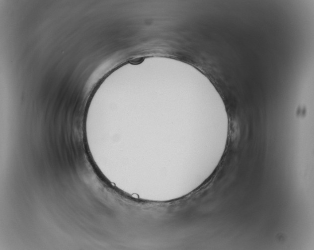 X0000113210004200910011331