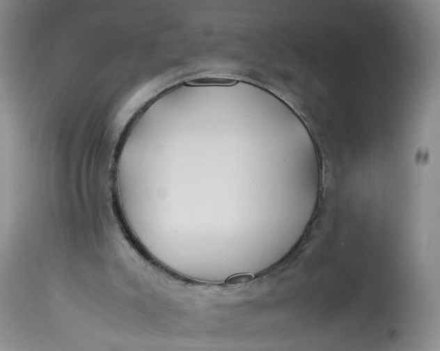 X0000113210007200910011331