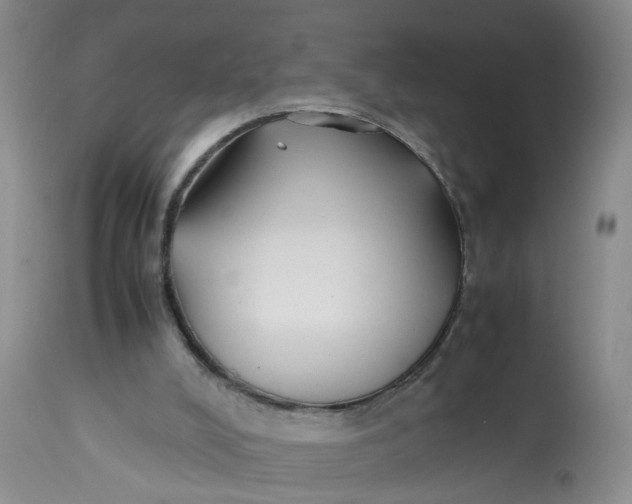 X0000113210008200910011331