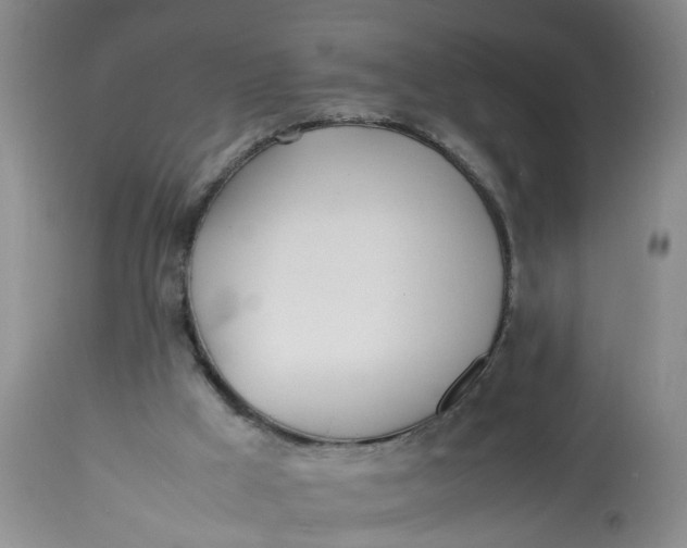 X0000113210009200910011331